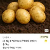 25년 햇 수미감자 중 5kg