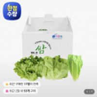 친환경 유러피안 샐러드 3종 1kg