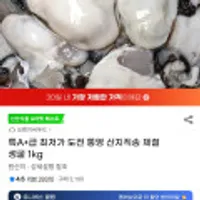 특A+급 통영 산지직송 제철 생굴 1kg