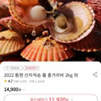 통영 산지직송 활 홍가리비 2kg 외