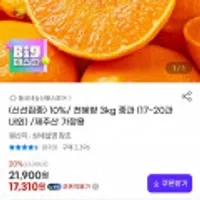 천혜향 3kg 중과 (17~20과 내외) 제주산 가정용