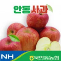 경북 북안동 농협 사과 가정용 중과 3kg