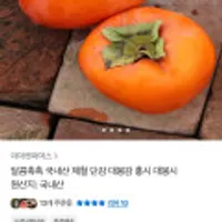 국내산 제철 단감 대봉감 중소과 5kg