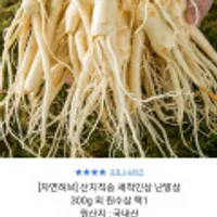 산지직송 세척인삼 난발삼 300g 외 원수삼 택1