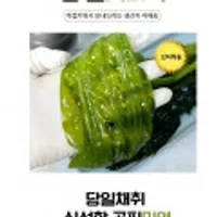 (강성푸드) 생 곰피미역 쇠미역 당일조업 산지직송2kg