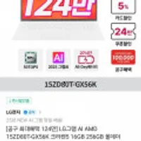 LG그램 AI AMD 15ZD80T-GX56K 크라켄5 16GB 256GB