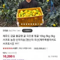 24년 첫수확 산지직송 제주감귤 5kg