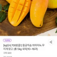 오리온 꼬북칩 초코츄러스 80g x 12개 