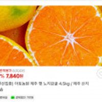 아토농원 제주 햇 노지감귤 4.5kg / 제주 산지 직송