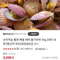 통영 제철 세척 홍가리비 1kg 25미