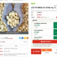 25년 무안 황토골 국산 깐마늘 1kg ( 소 , 대 ) 쿠폰최종가 [ 무료배송 ]
