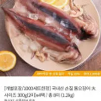 국내산 손질 통오징어 대사이즈 1.2kg (총 8미)