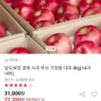 경북 사과 부사 가정용 대과 4kg