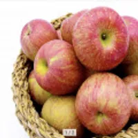 경북 사과 부사 가정용 3kg (8-15과)