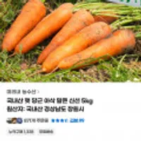 국내산 햇 당근 아삭 달큰 신선 5kg(쥬스용)