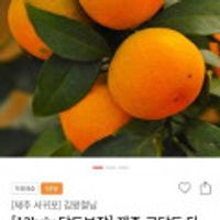 제주 고당도 타이벡감귤 3Kg (무배)