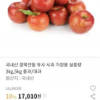 국내산 경북안동 부사 사과 가정용 실중량 3kg,5kg 중과/대과