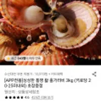 통영 활 홍가리비 3kg+초장 증정