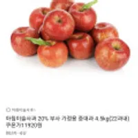 아침이슬사과 부사 가정용 중대과 4.5kg