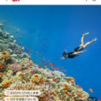 보홀 자유여행 왕복픽업&호핑투어 포함) 3박5일 등 다양