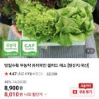 당일수확 무농약 유러피안 샐러드 채소 1kg