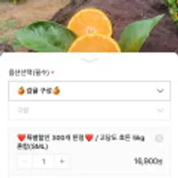 고당도 보장 제주 효돈 감귤 5kg