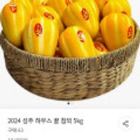 2024 성주 하우스 꿀참외 5kg
