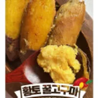 해남 25년 햇 황토 꿀고구마(비세척) 특상 3kg