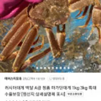 러시아 마가단 대게 수율 80~90% 1KG