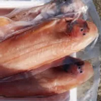 군산 반건조 말린 박대 중 5미 (29-31cm)