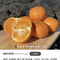 제주 고당도 천혜향 중과 3kg