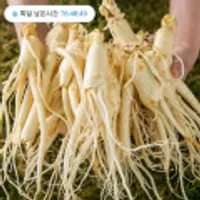 세척인삼 250g