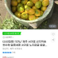 제주 서귀포 산지직송 노지감귤 로얄과 4.5kg