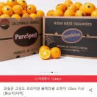 과일꾼 고당도 블랙라벨 오렌지 중소과 10과