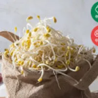 국내산 친환경 콩나물 1kg