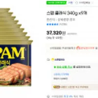 스팸 클래식 340g x9개