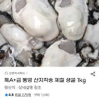 통영 산지직송 제철 생굴 1kg