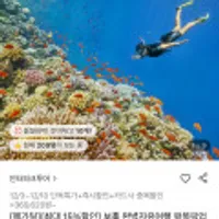 보홀 3박5일 자유여행 호핑투어 포함