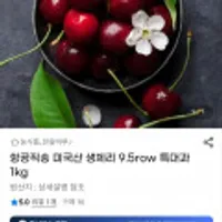 항공직송 미국산 생체리 9.5row 특대과 1kg