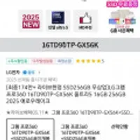 LG 16인치 그램PRO 360 16TD90TP-GX56K SSD 업글