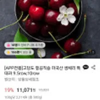 [APP전용] 고당도 항공직송 미국산 생체리 특대과 9.5row 500g