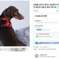 강아지 하네스 앞섬방지 HY형 가슴줄