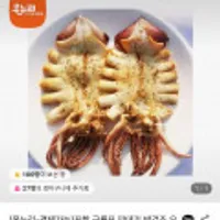 반건조 오징어 5미 550g