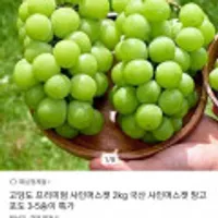고당도 프리미엄 샤인머스켓 2KG 3-5송이 유클
