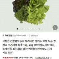 더담은 친환경무농약 유러피안 샐러드 야채 모듬 쌈 1kg