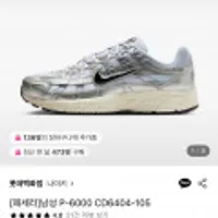 나이키 남성 운동화 P-6000 CD6404-105