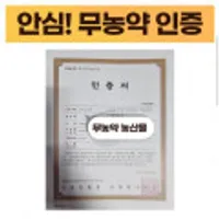 산지직송 무농약 인증 해남꿀고구마 특상 5kg