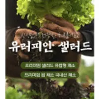 유러피언 샐러드 1kg 3~4종
