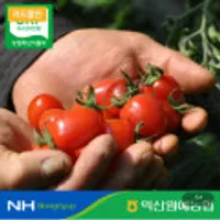 국내산 대추 방울 토마토 로얄과(1~3번과) 2kg