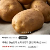 국내산 노지 햇 감자 5kg 중사이즈